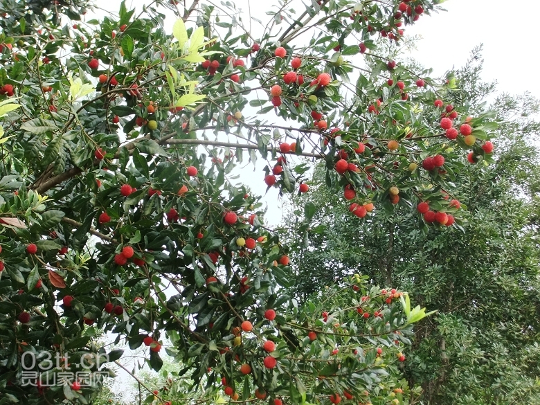 DSCF9458.jpg