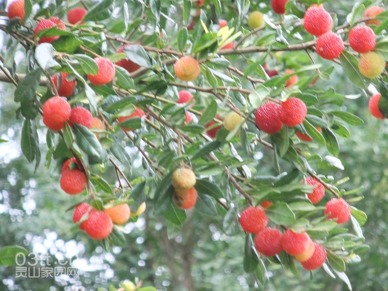 DSCF9460.jpg