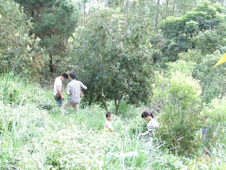 DSCF9462.jpg