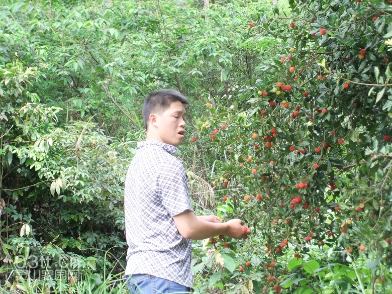 DSCF9466.jpg