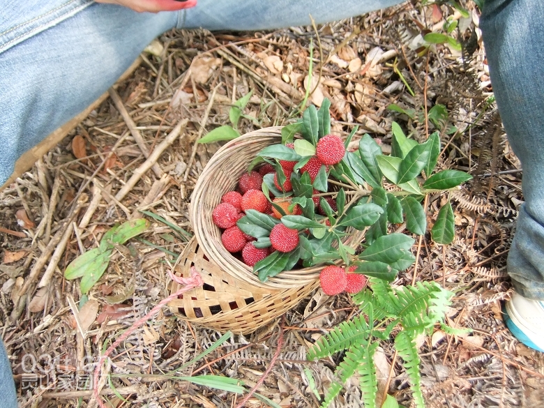 DSCF9469.jpg