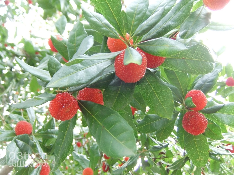 DSCF9473.jpg