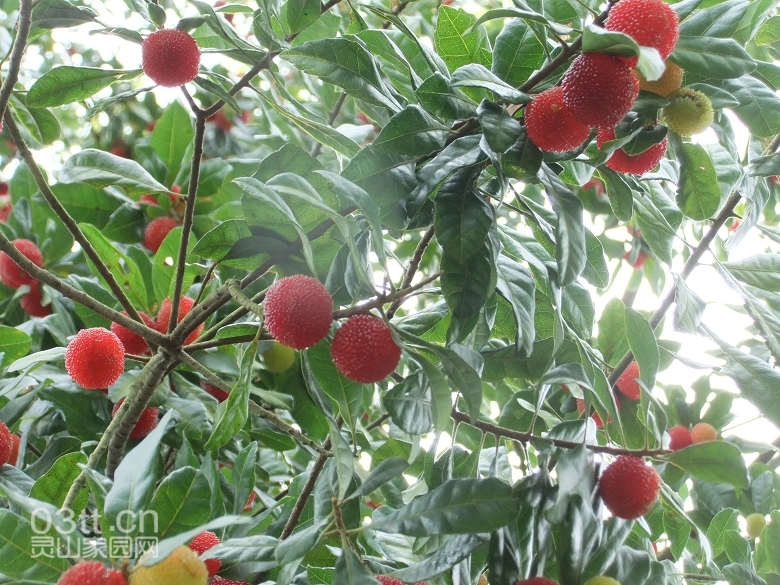 DSCF9474.jpg