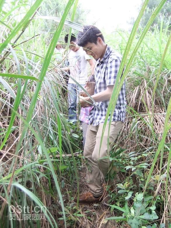 DSCF9477.jpg