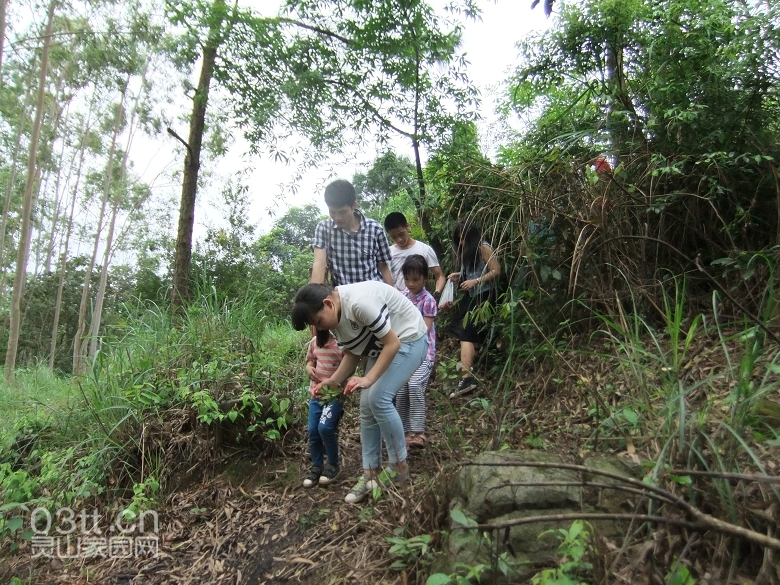 DSCF9478.jpg