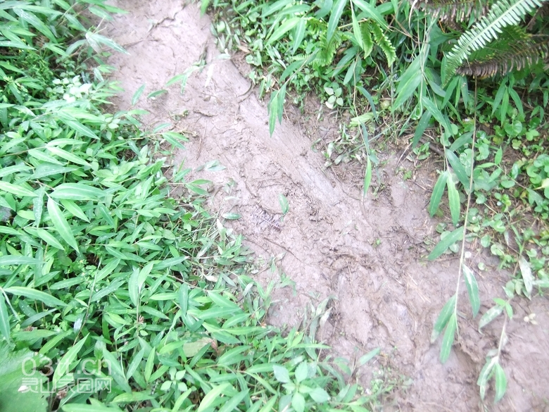 DSCF9480.jpg