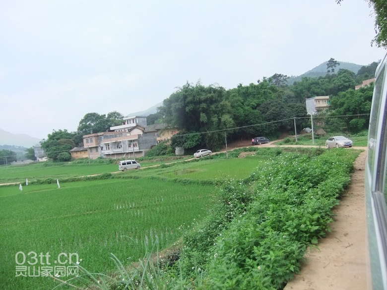 DSCF9772.jpg