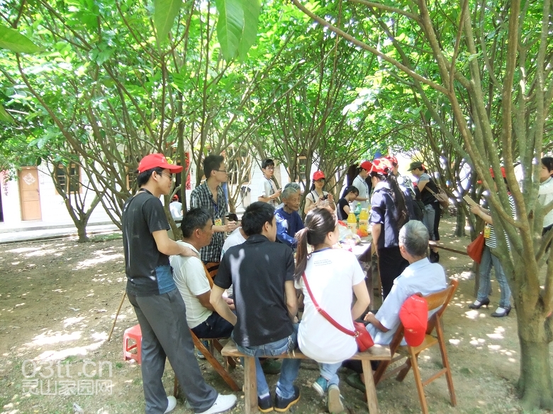 DSCF0133.jpg