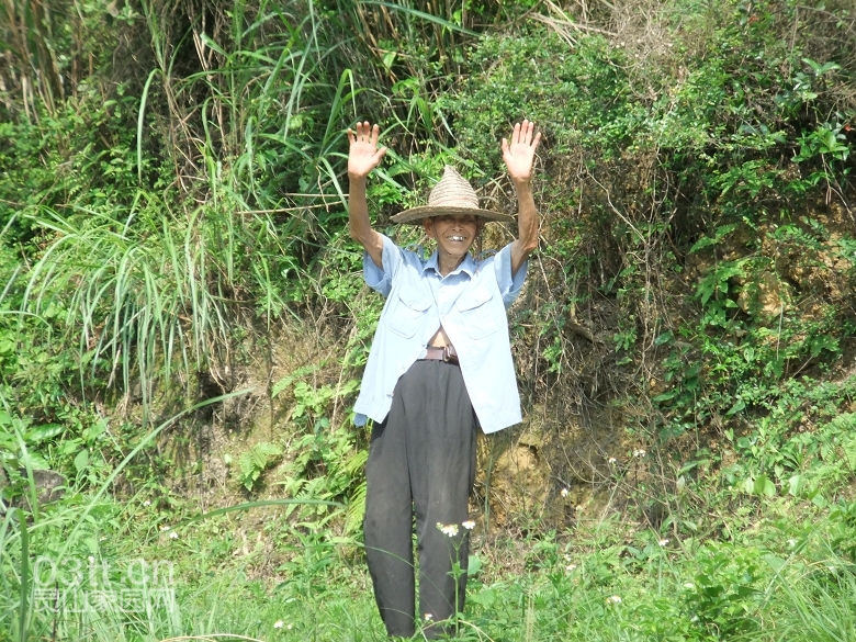 DSCF0342.jpg