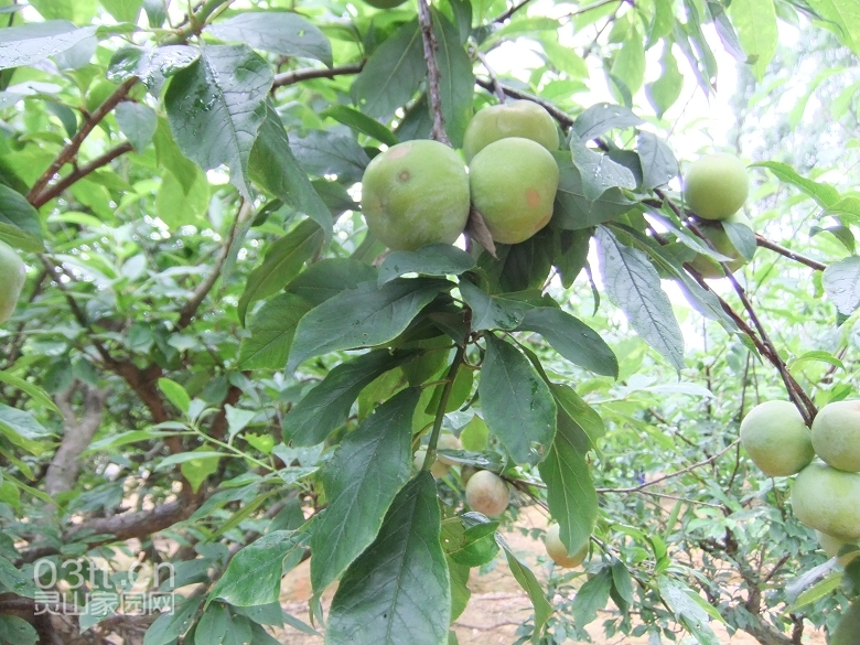DSCF0904.jpg