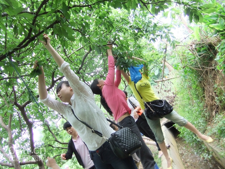 DSCF0918.jpg