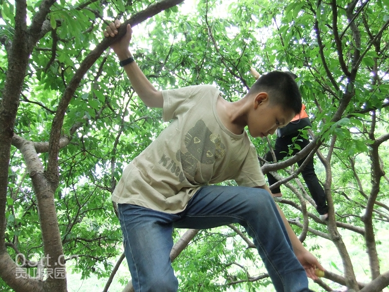 DSCF0928.jpg