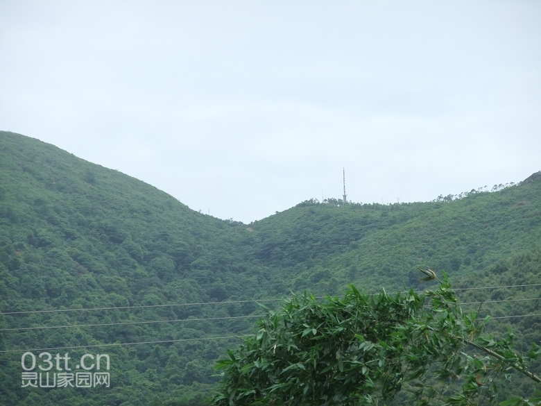 DSCF0947.jpg