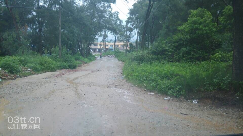 QQ图片20130703145235.jpg
