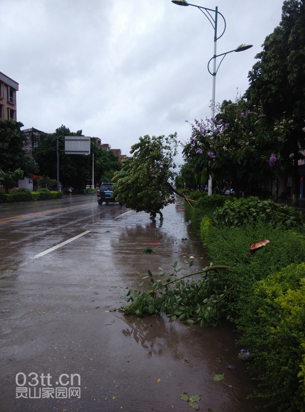 QQ图片20140719102842.jpg