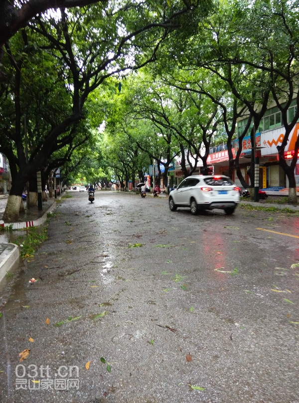 QQ图片20140719102813.jpg
