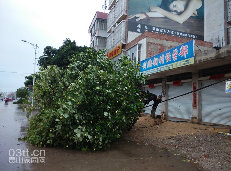 QQ图片20140719102806.jpg