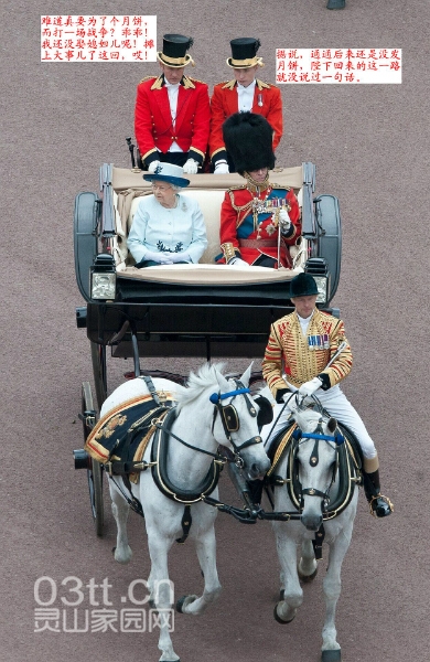014916rxxojyycctyzczrh.jpg