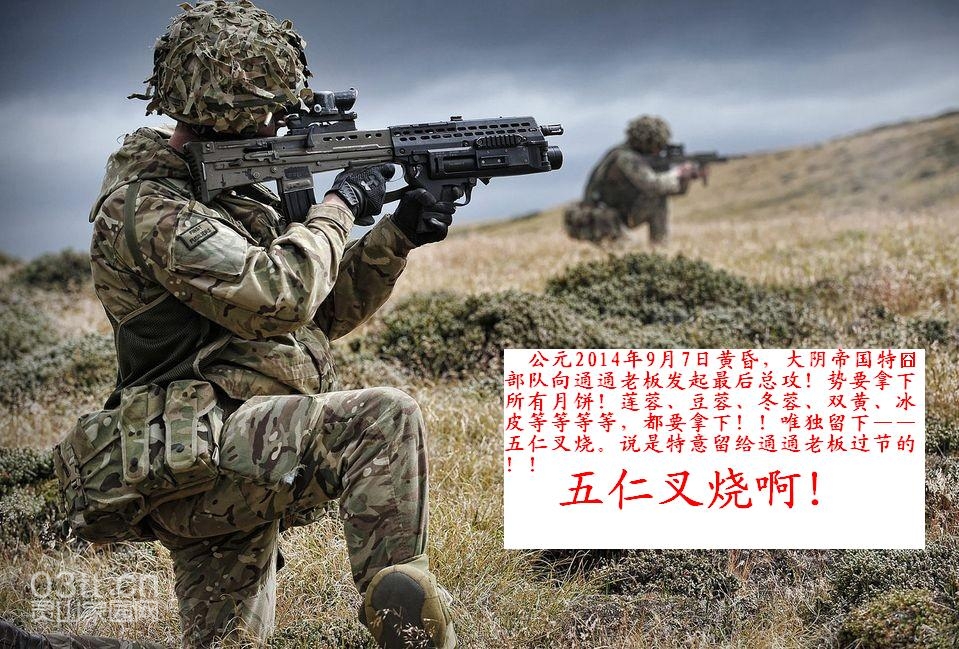 015316dwad7ldeb91ax4lw.jpg