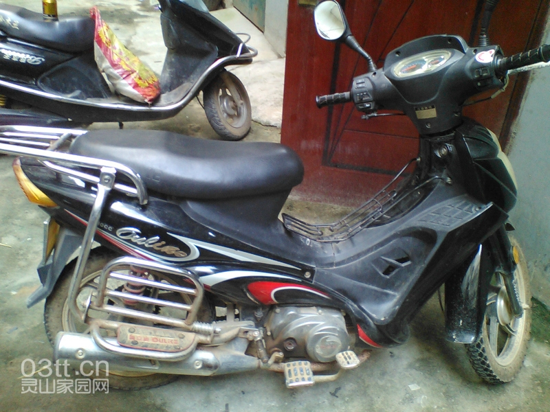 104204f3gullmkhvk5jvlp.jpg
