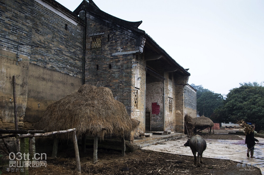 灵山旧州镇图片