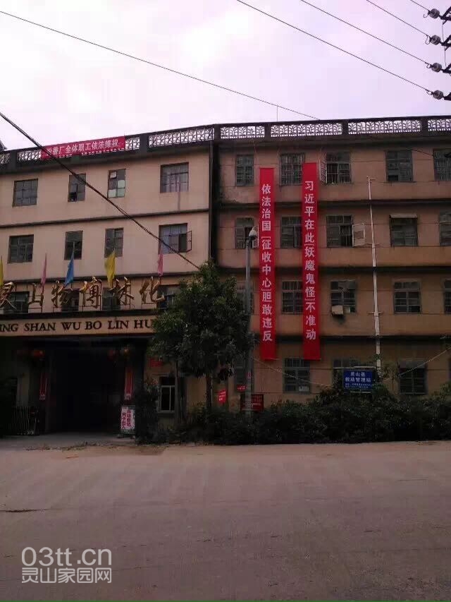 QQ图片20141119162217.jpg