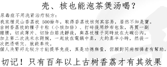 荔枝 别名715.png