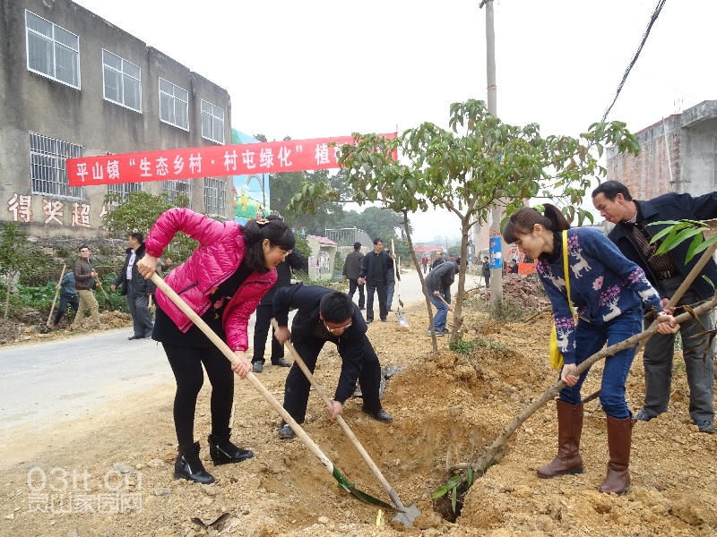 灵山： “植树节”碰到“生态乡村” 乡村绿起来