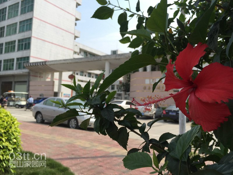 上东区业主们现身灵山县住建局聚会