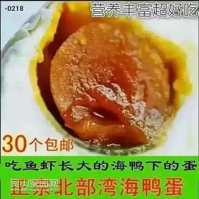 30个包邮.jpg