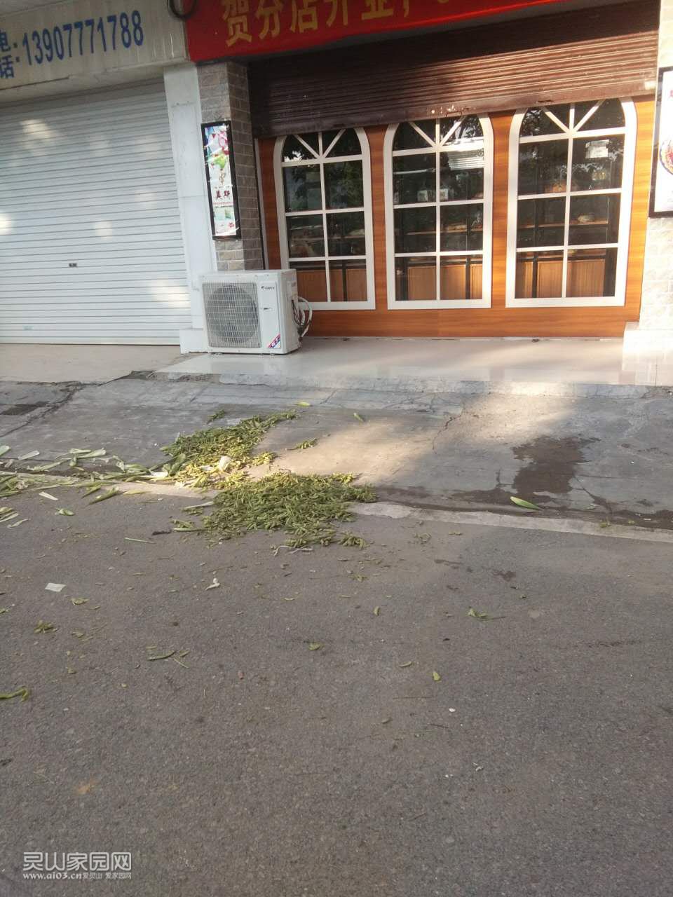 1205343..jpg