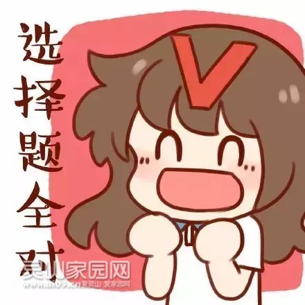 3.webp.jpg