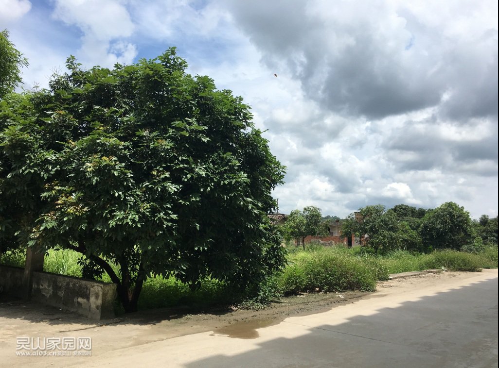 平方场地出租,可做特色餐饮,农家乐,汽车修理等