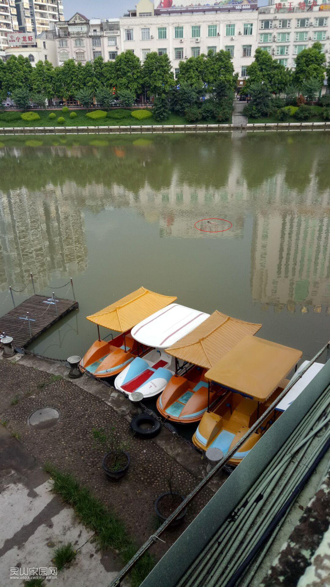 未命名900.jpg