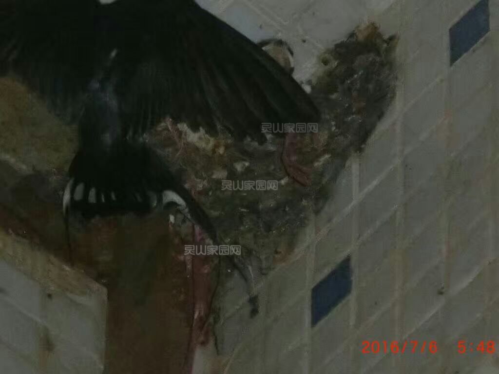 QQ图片20160711203546.jpg
