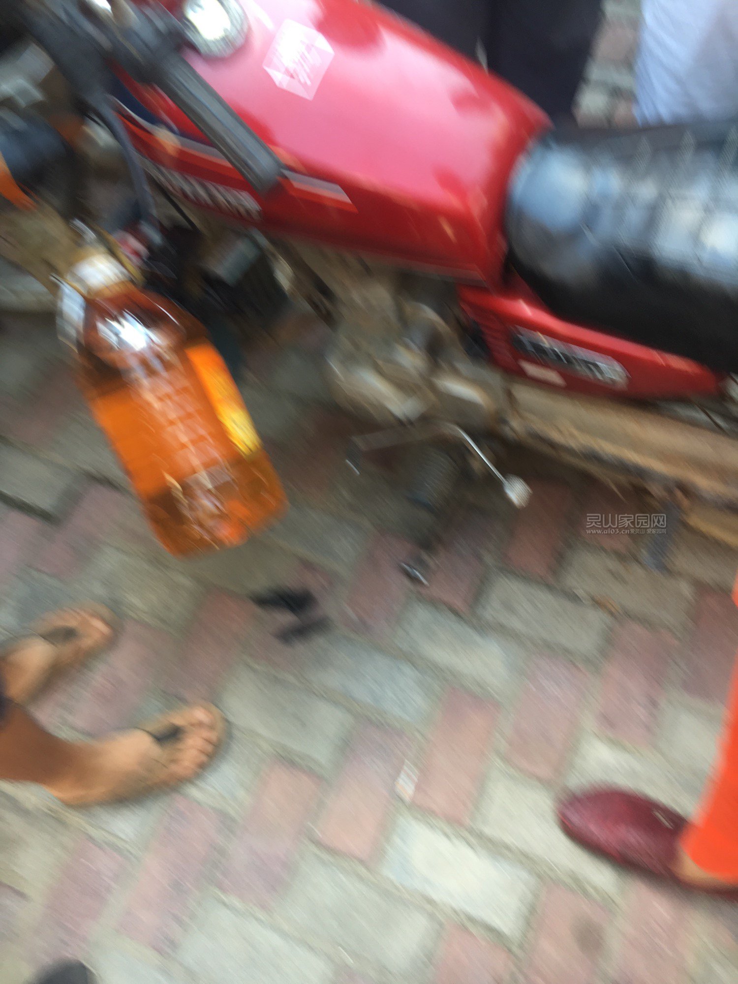 image.jpeg