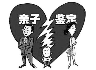 t019c7848f5da42f79c.jpg