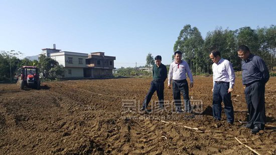 宋启权（左二）在那隆镇龙窟村“双高”基地现场检查指导工作