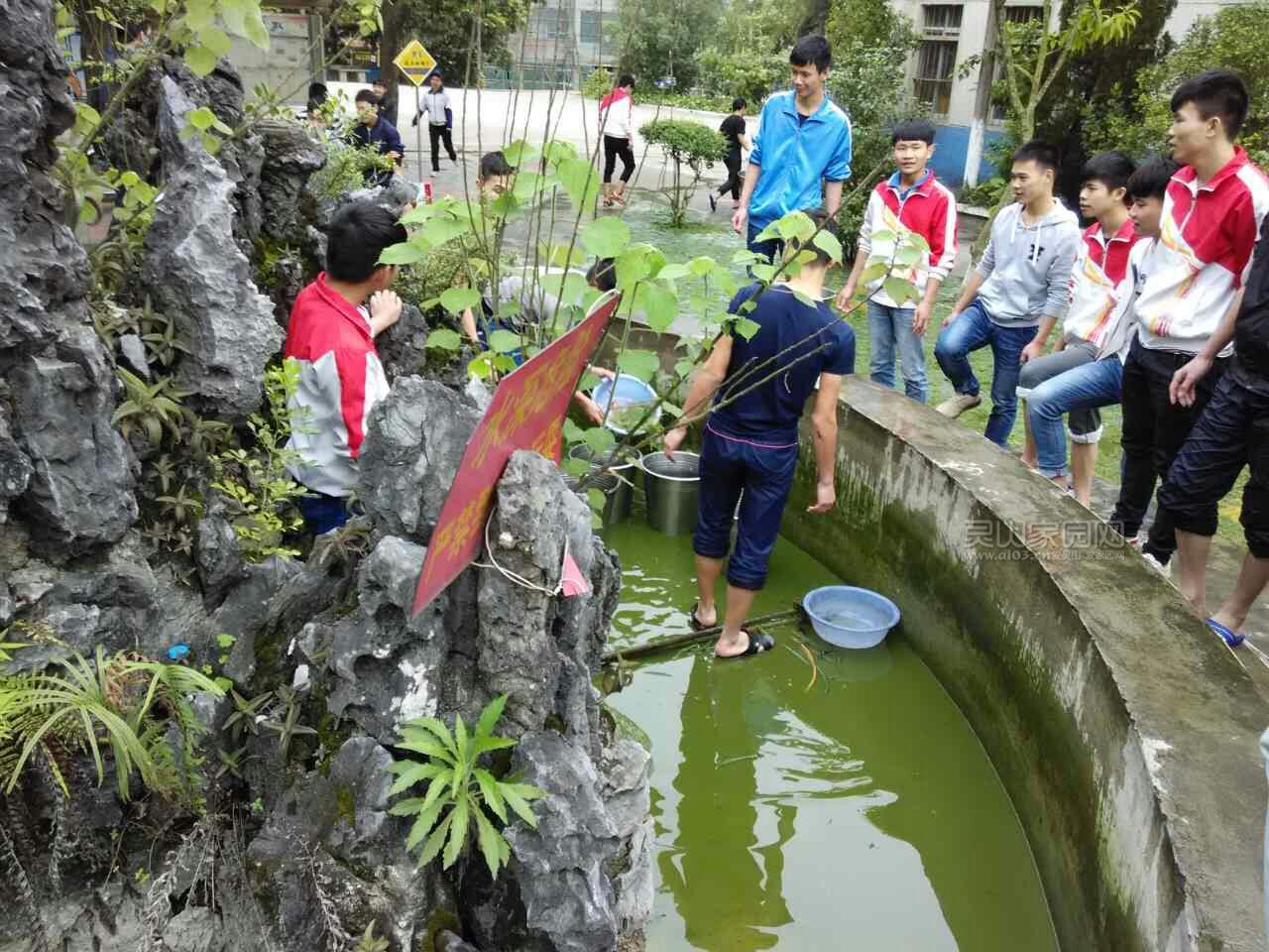 学生在清洗学校假山水池.jpg