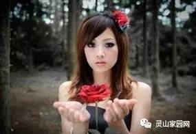 21b439269fcfc42a2ae3905c9d36327d.jpg