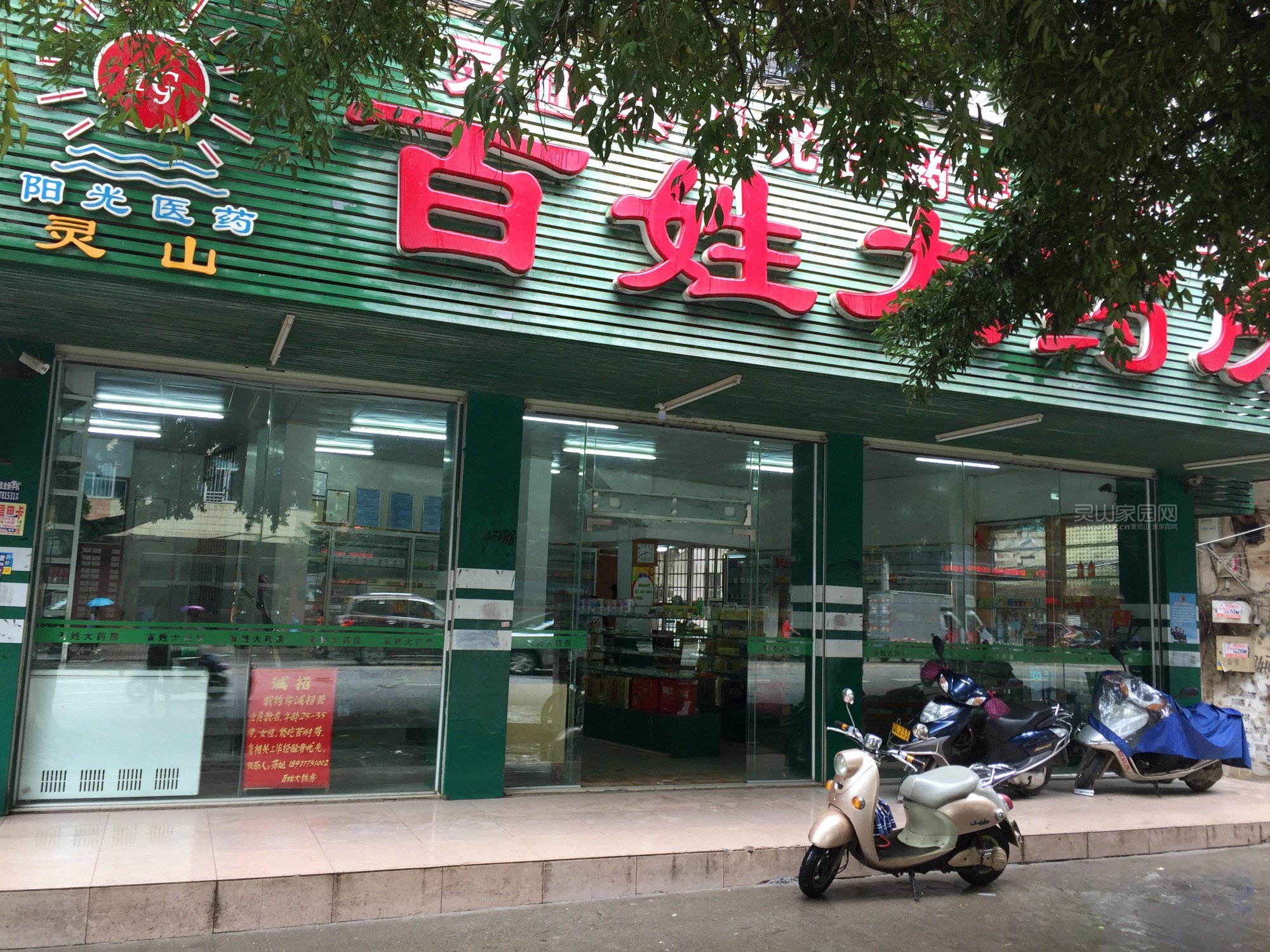 IMG_0994.JPG