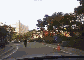 77d10607a6ec2c1868c609f684b3cef7.gif