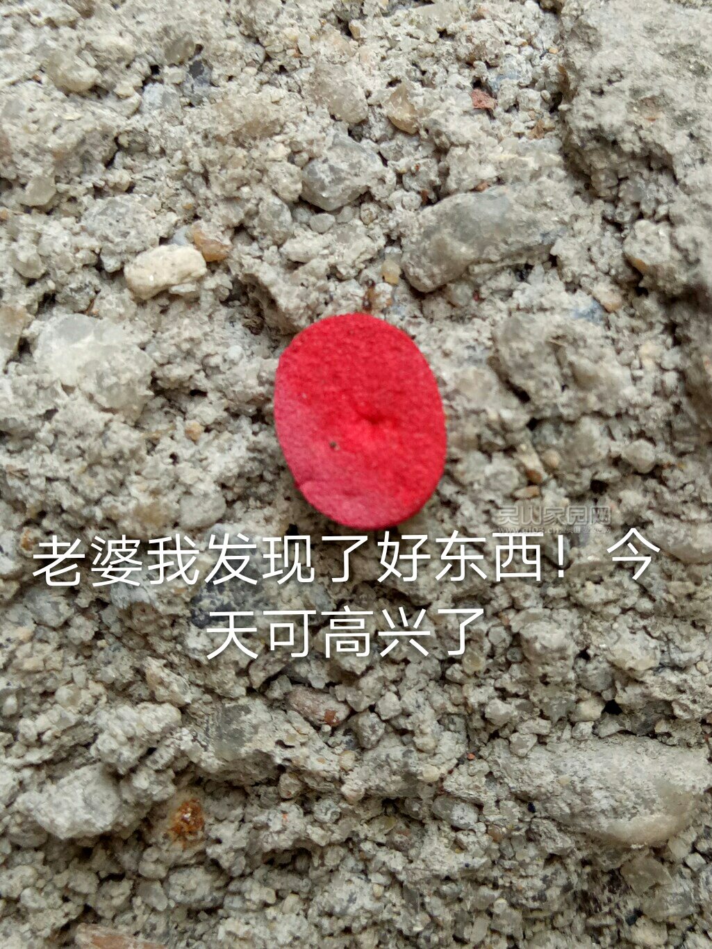 BHfbuh8X81oO.jpg