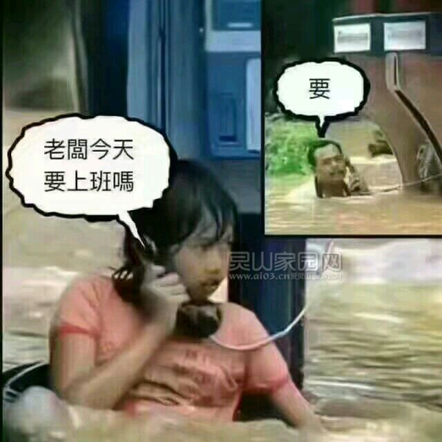 xAVamlnZmlLZ.jpg