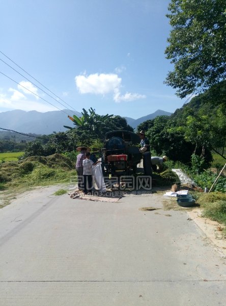 233828jm5yb529bij2jp95.jpg