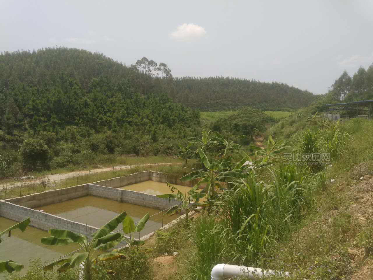 牛场沉淀排污池