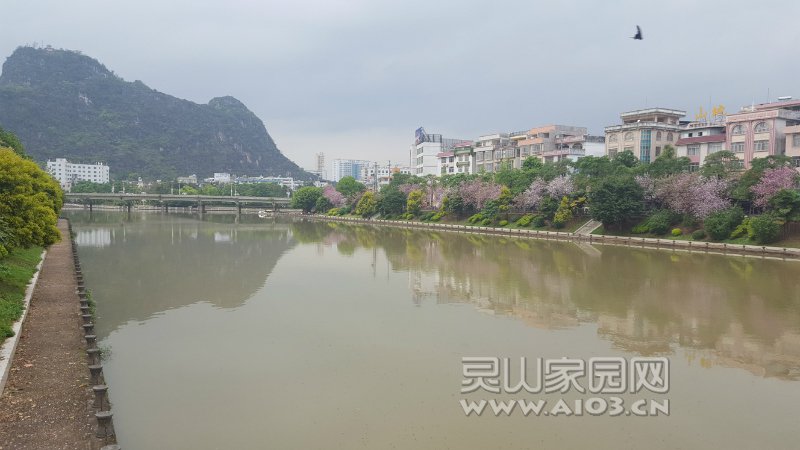 可惜水不够清