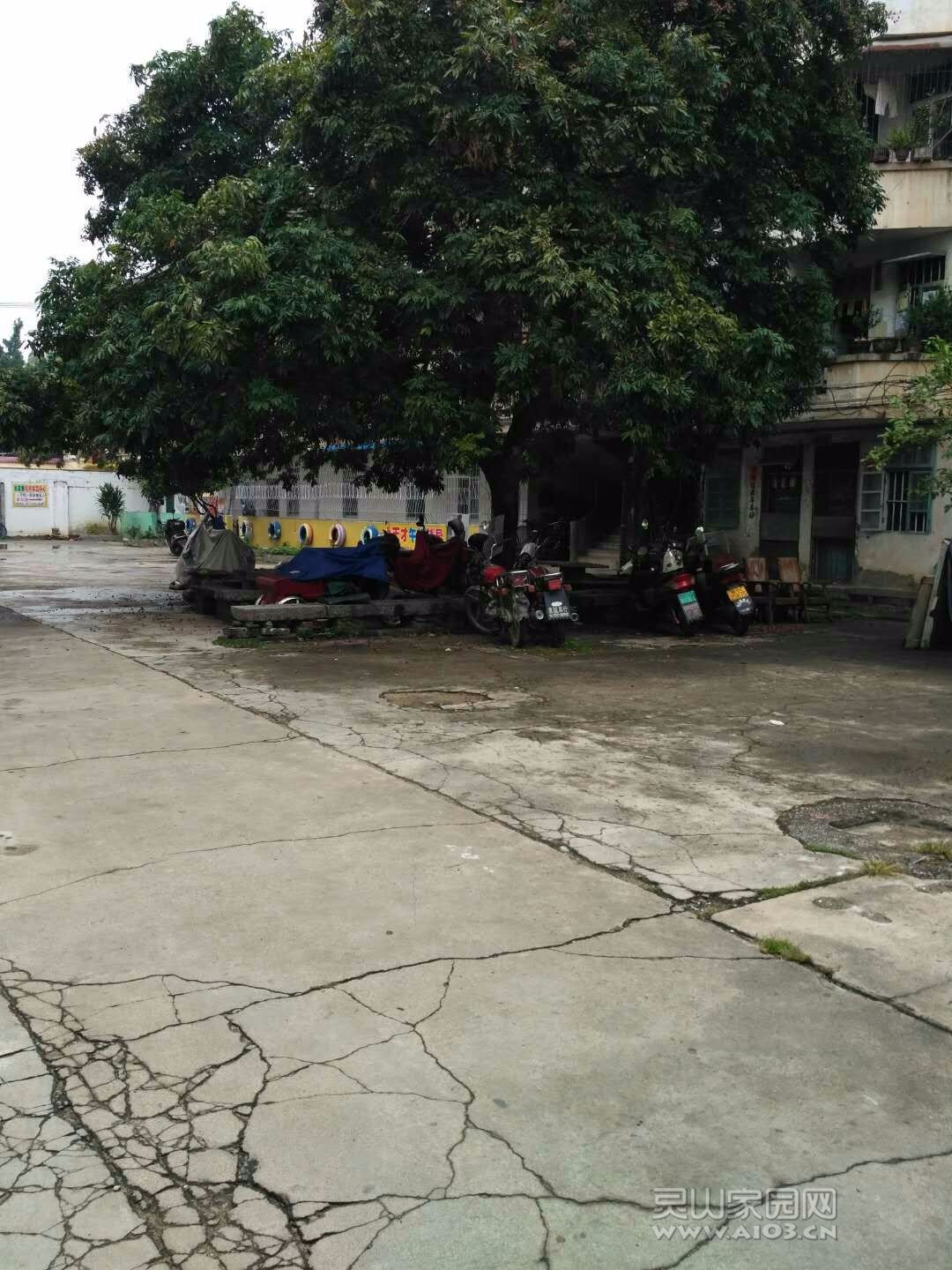mmexport1535449886892.jpg