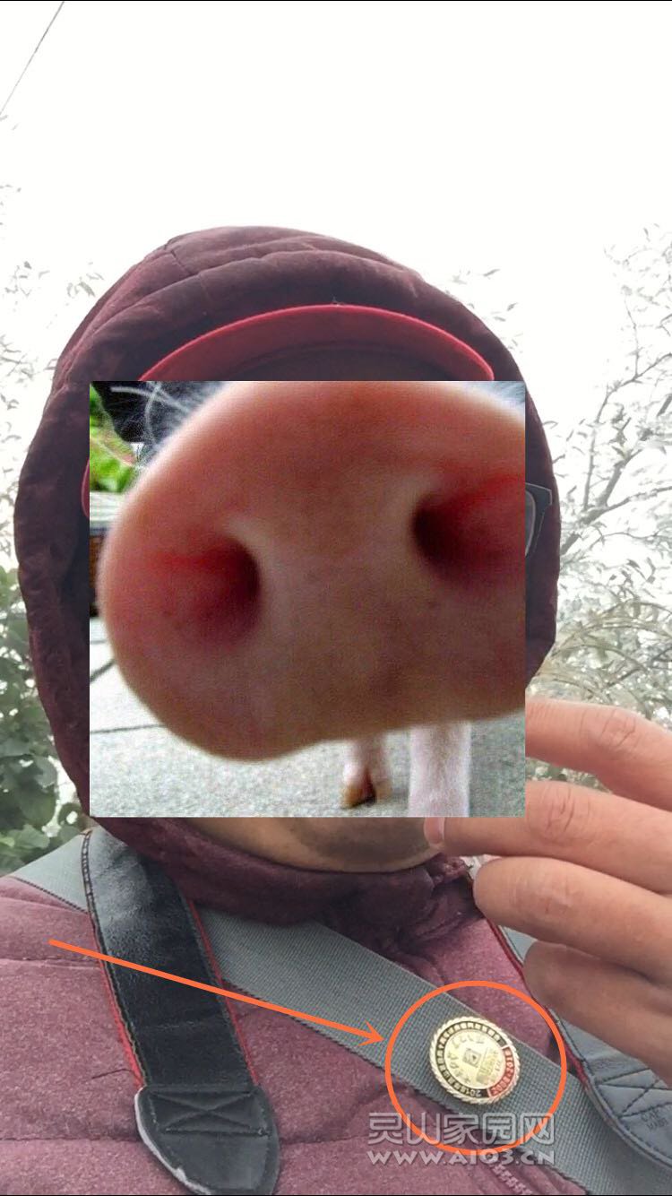 fVZpRpIPKwWS.jpg