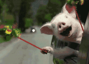 740d007800e211296ff401de68afe4df.gif